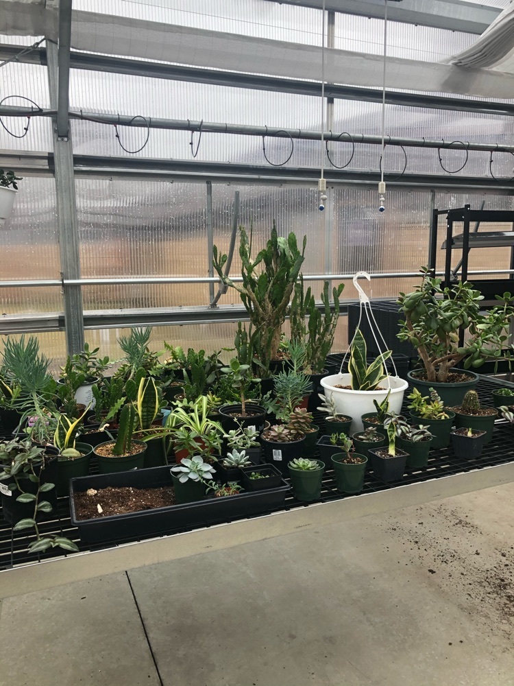 green house 1