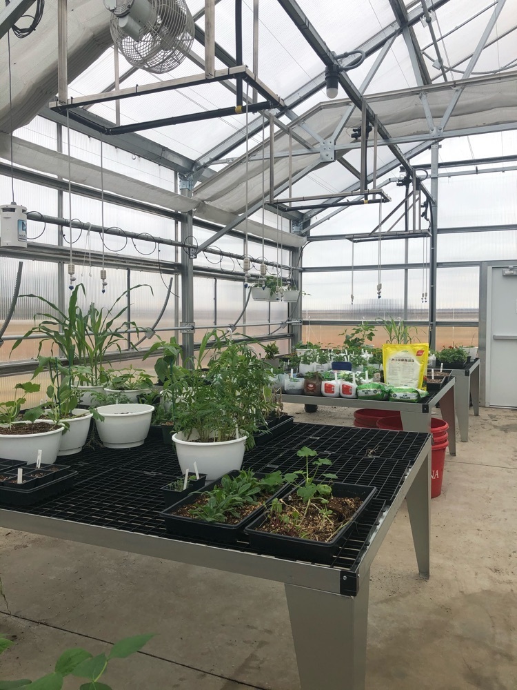 green house 2