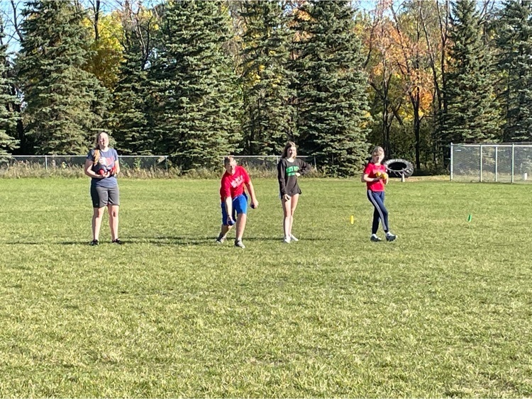 Bocce ball